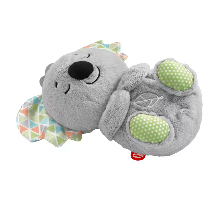 Koala Que Respira Relajante Dulces Sueños