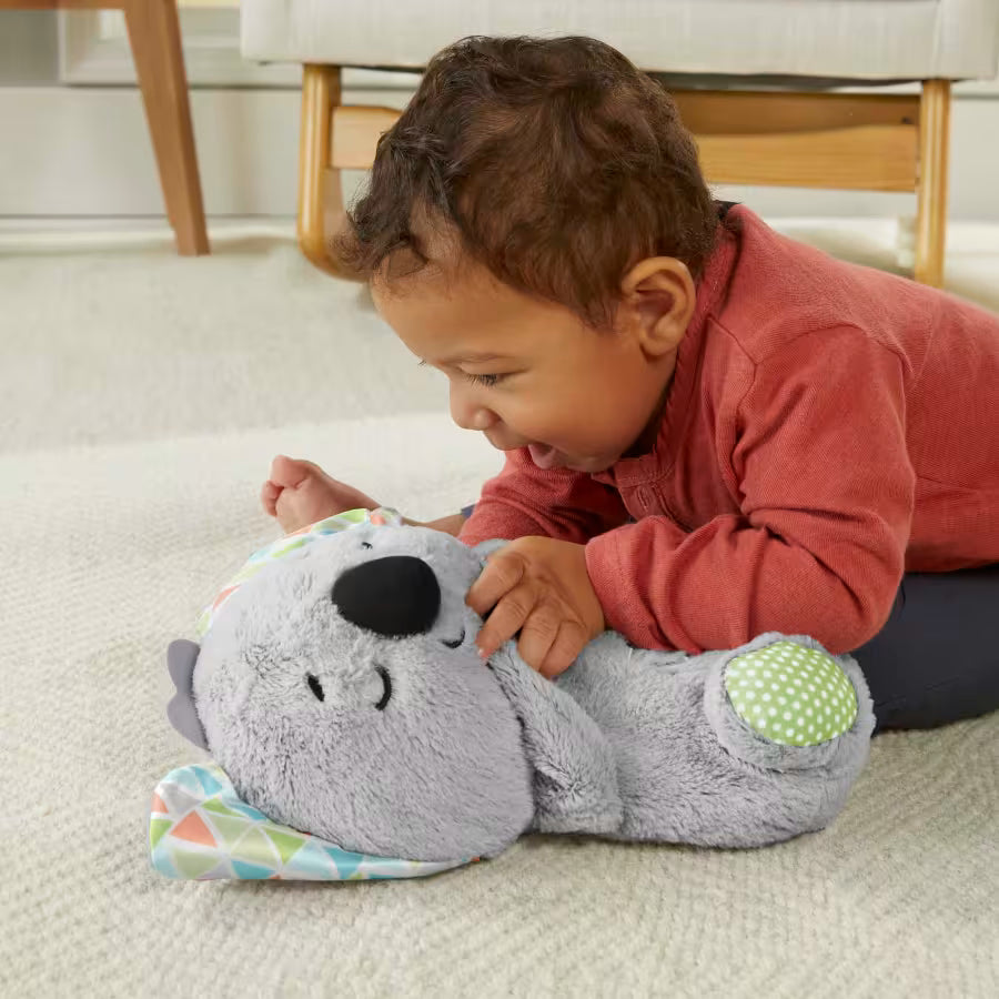Koala Que Respira Relajante Dulces Sueños