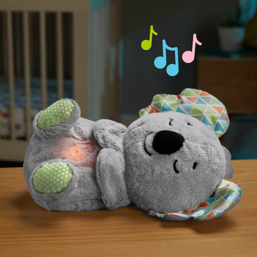 Koala Que Respira Relajante Dulces Sueños